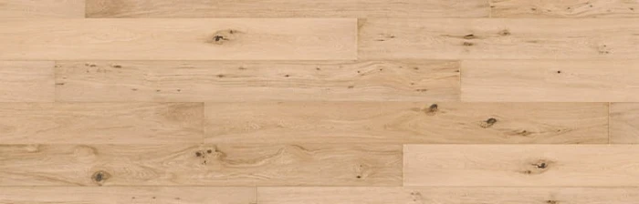 1f8e2106f30acf3067dbb19938fe701e