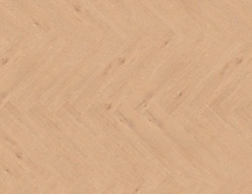 414cec8f94536a9a11c6fb5f2c232b04