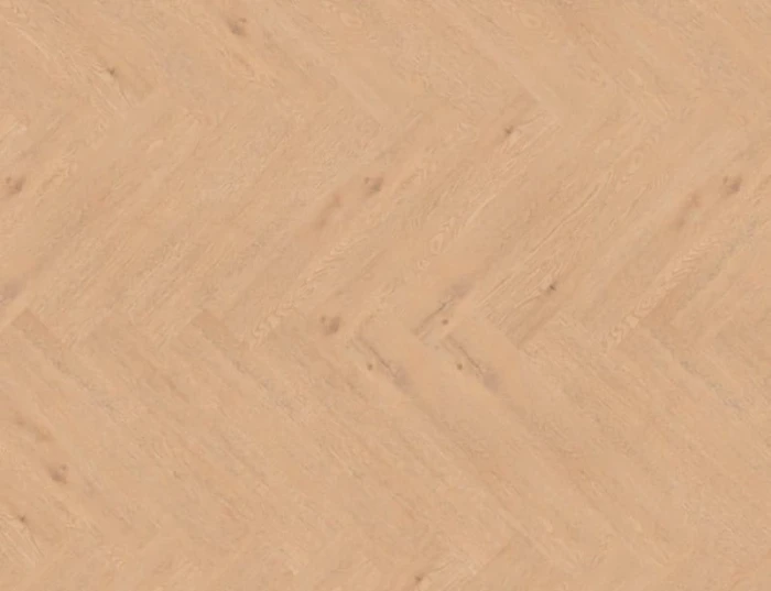 414cec8f94536a9a11c6fb5f2c232b04