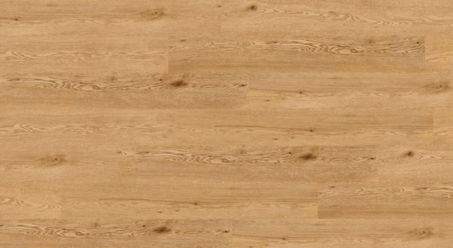 e8ed7e6d0f725a577482c1aaadc314f3