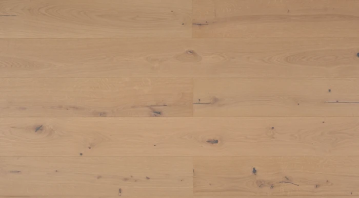 e5e16f1d88979c13117436e077098dca