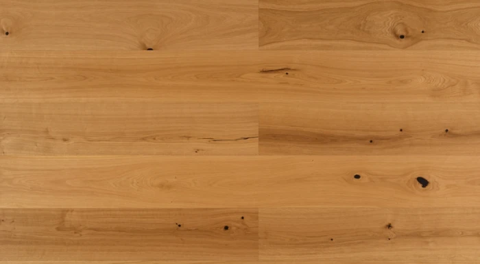 ee1af6369a32a957d44da56701346aba