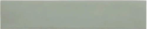 wadimint.webp